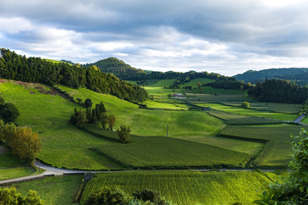 Scenic view of vibrant green farmland and rolling hills under a cloudy sky, perfect for nature and agriculture themes.